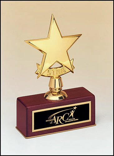 Constellation Series Gold Star Award