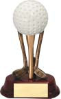 GOLF TROPHY 22