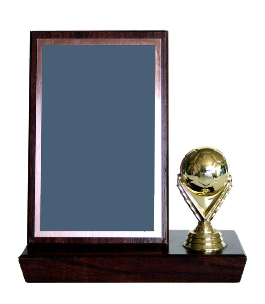 SOCCER TROPHY 15