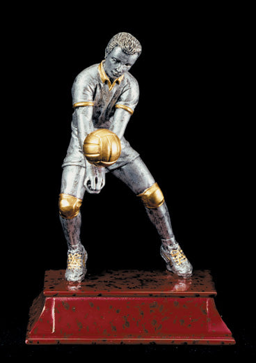 VOLLEYBALL TROPHY 5