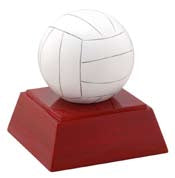 VOLLEYBALL TROPHY 7