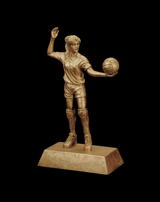 VOLLEYBALL TROPHY 9